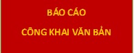 Báo cáo tài chính quý II năm 2024